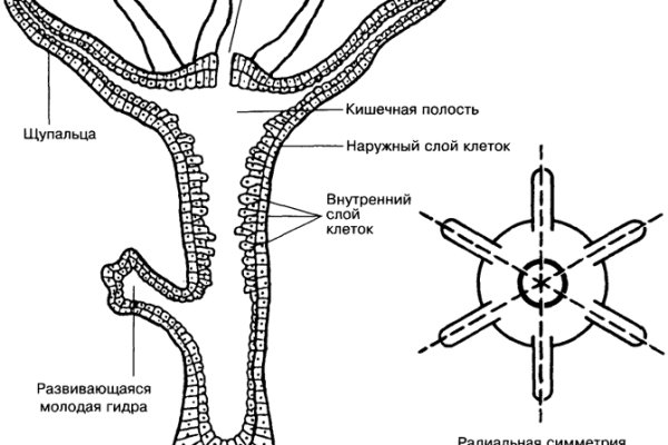 Кракен сыл ссылка