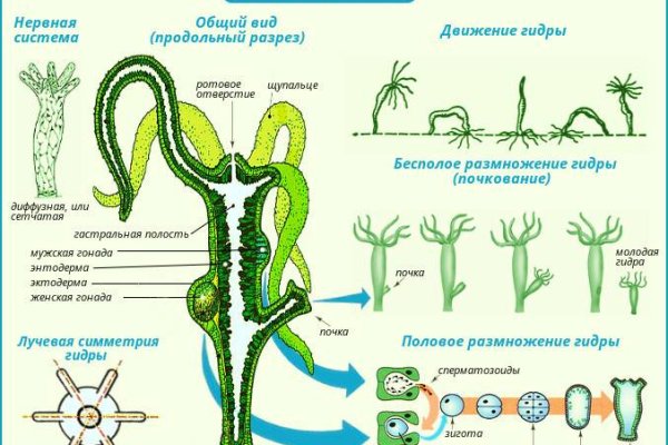 Можно ли вывести деньги с кракена