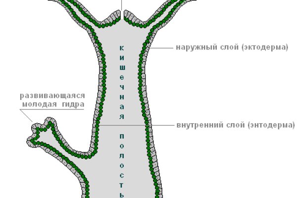 Кракен магазин тор